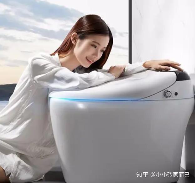 智能马桶功能介绍_智能平衡车什么牌子好_智能马桶选购指南