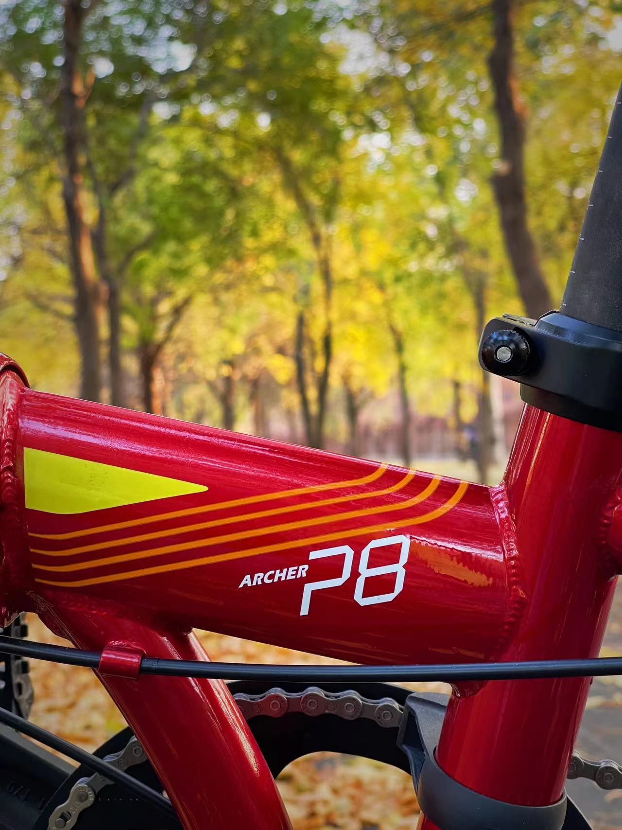 大行sp18改装_大行折叠车 K-one P8 40th纪念版