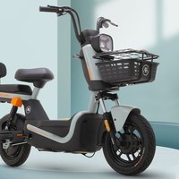 爱玛电动车自行车_爱玛自行车式电动车_爱玛自行车好不好