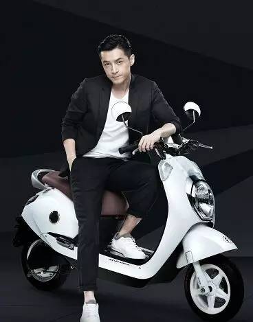 绿源皇马系列电动车_绿源电动车皇马家族价格表_绿源电动车代言人皇马