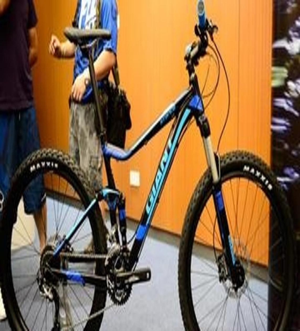 捷安特roma disc_捷安特全车系解读_捷安特车型选择指南