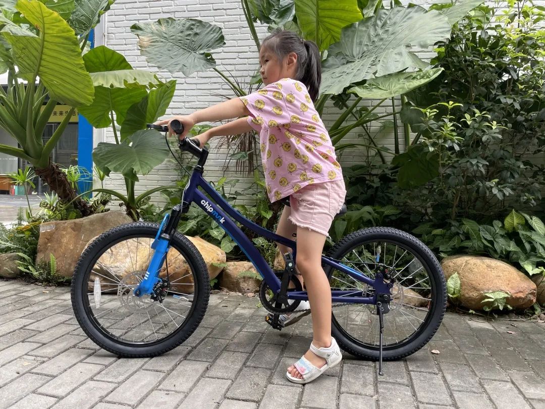 自行车花鼓尺寸_自行车花鼓尺寸表_自行车尺寸花鼓怎么安装