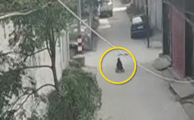 智能双轮电动平衡车_电动平衡车质量抽检不合格_平衡车安全隐患