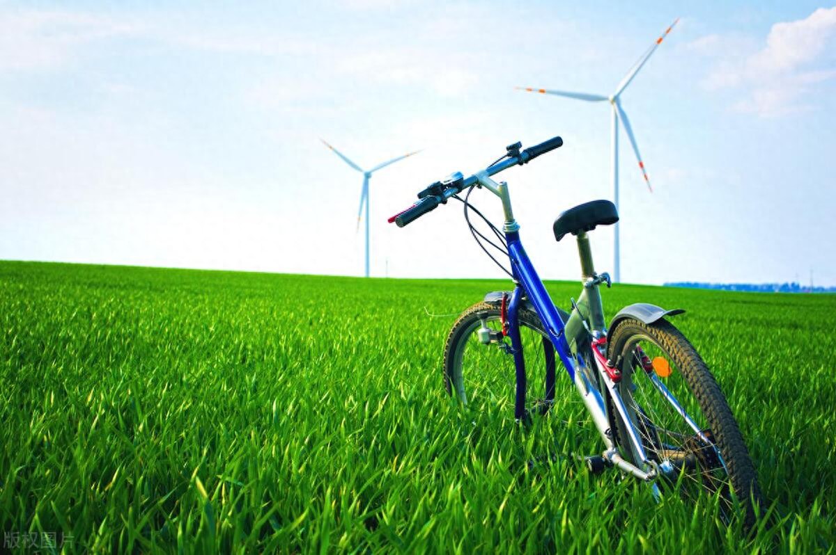 捷安特内三速自行车_女性公路自行车选购指南_liv自行车价格