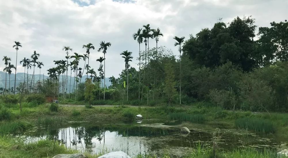 山地车v刹什么牌子好_山地刹车推荐_性价比高的山地车刹车