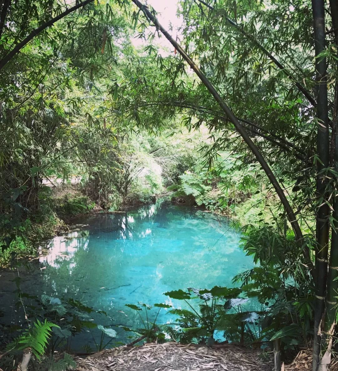 山地车v刹什么牌子好_山地刹车推荐_性价比高的山地车刹车