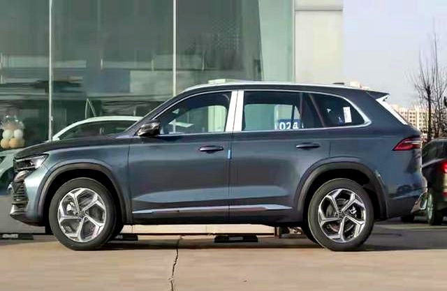 2025年买燃油SUV推荐_2025 cannondale evo_混动SUV油耗保值率对比