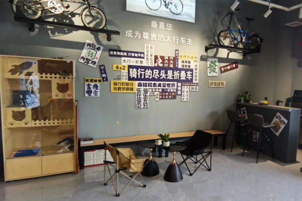 南京大行车行_南京大行折叠车专卖店_大行自行车南京专卖店地址