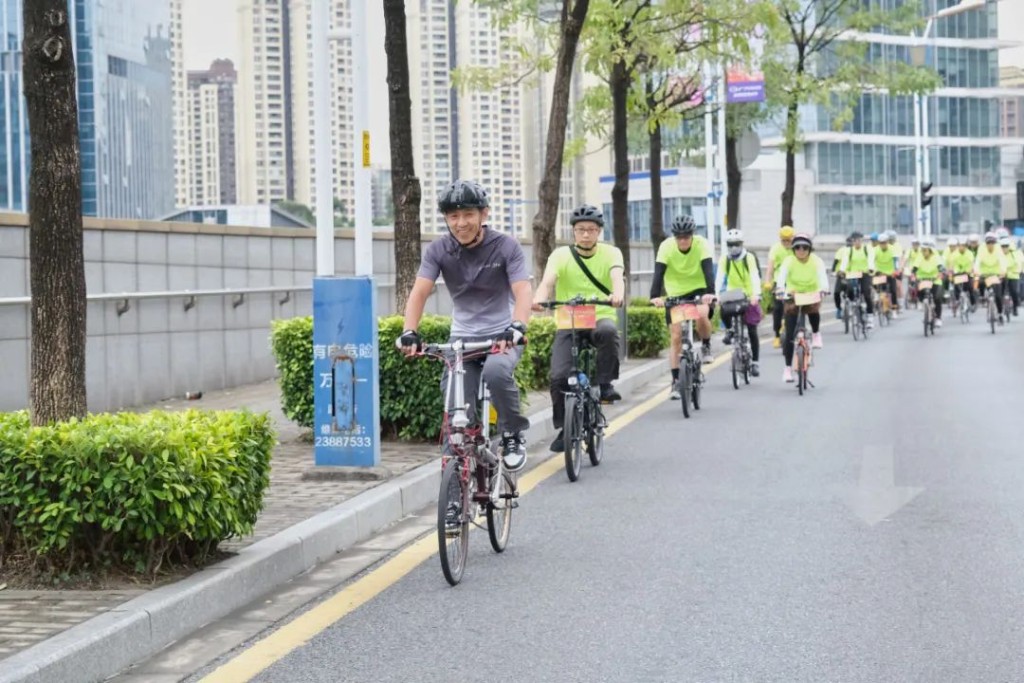 大行自行车南京专卖店地址_南京大行车行_南京大行折叠车专卖店