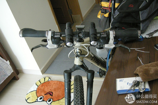 大行和捷安特哪个好_2007年单车购买经历_2010年单车升级改造