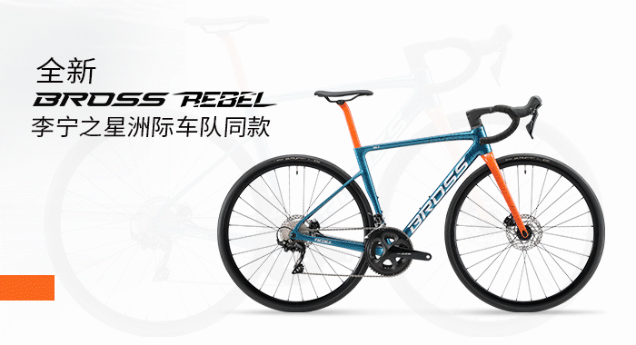 自行车避震前叉是什么意思_自行车前叉避震_自行车避震前叉结构图