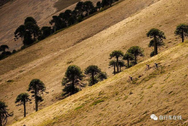 山地车轮胎打气气压_山地车轮胎气压_山地胎打多少气压