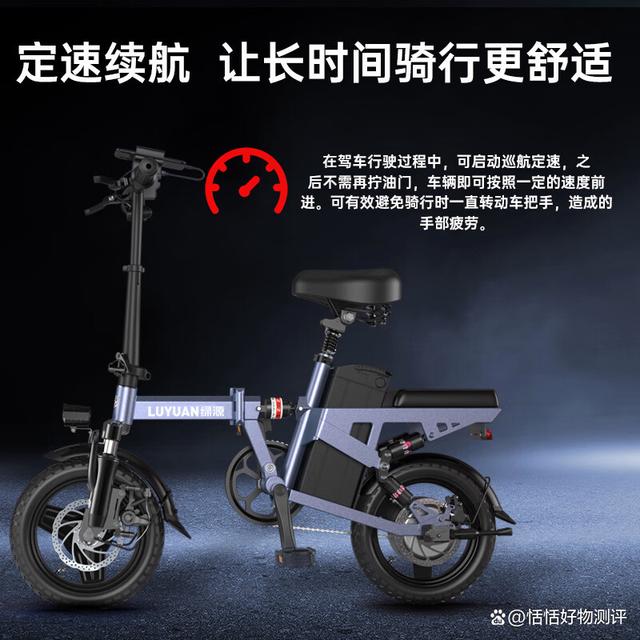 2024年折叠电动车哪个品牌好？5大推荐品牌，性价比超高-有驾