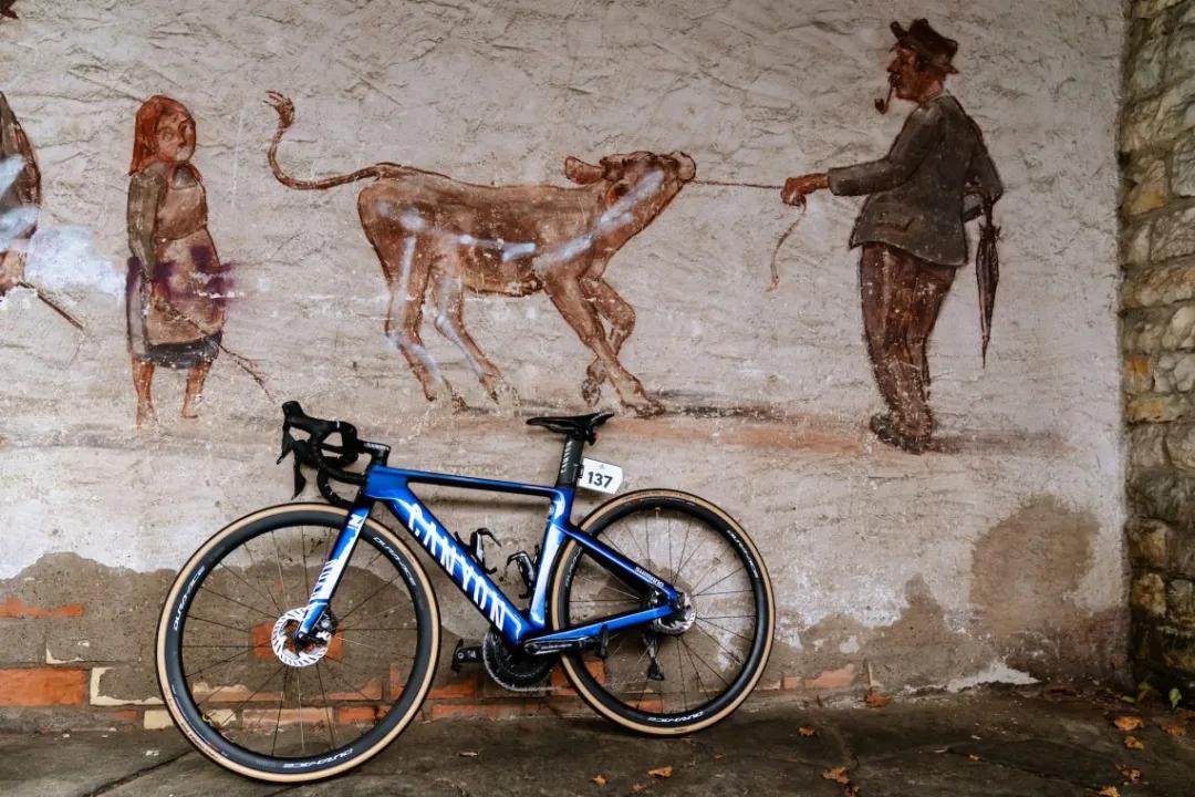 国际自行车联盟世界锦标赛_cannondale 2025_UCI自行车涂装技术