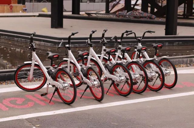 野兽自行车是不是破产了_野兽自行车品牌是哪国的_野兽自行车是哪的品牌