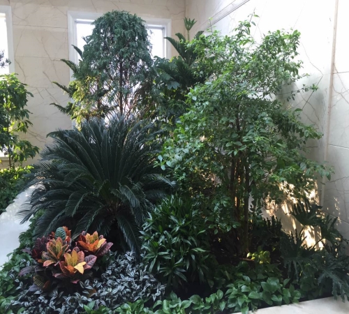 浦东新区植物租赁_橄榄竹绿植租赁_长春办公室绿植设计施工