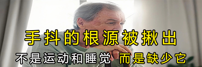 九号平衡车mini PRO2_智能平衡车特征_九号平衡车mini PRO2评测