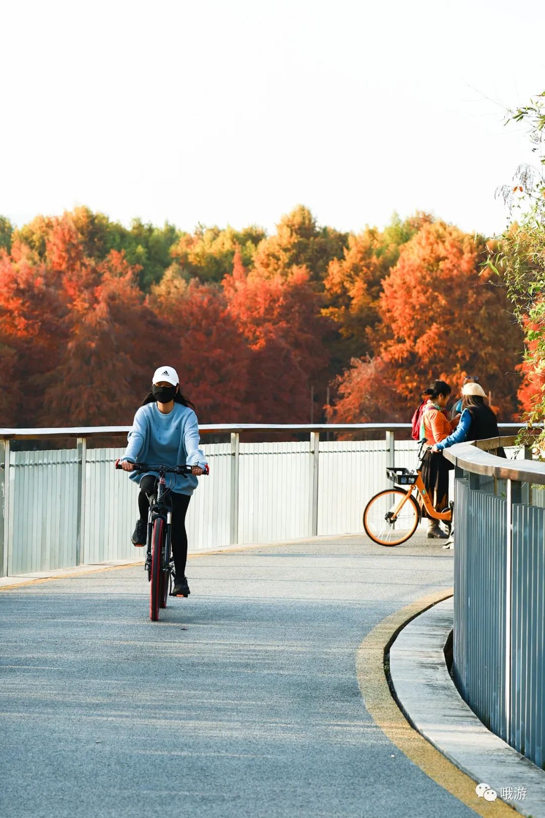 大行捷安特哪个好_大行和捷安特哪个好_大行捷安特折叠车