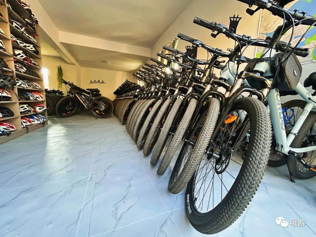 大行捷安特折叠车_大行和捷安特哪个好_大行捷安特哪个好