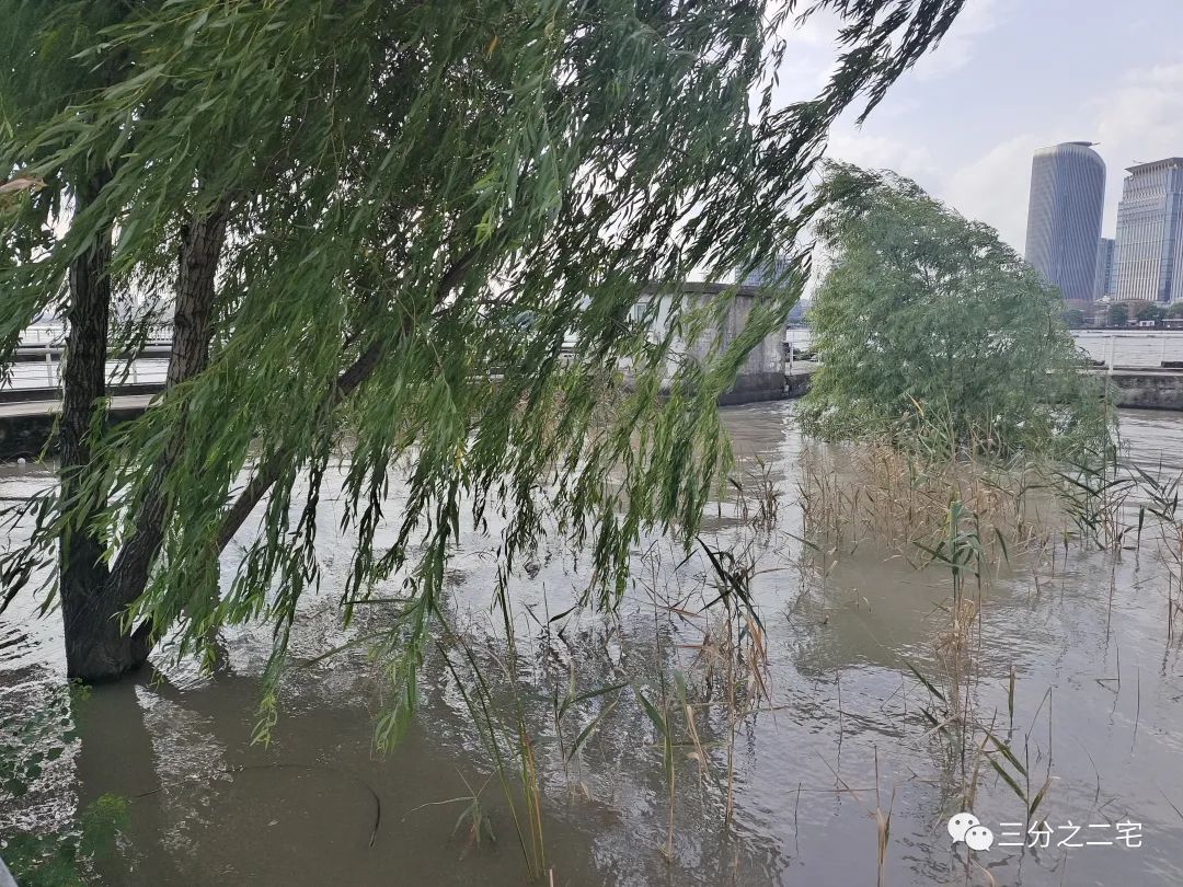 浦西到浦东 自行车_自行车从浦东到浦西_浦东自行车骑行路线