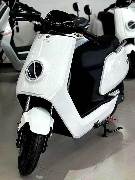 电动车市场2025上半年销量_九号小牛电动车增速_2025爱玛电动车销量