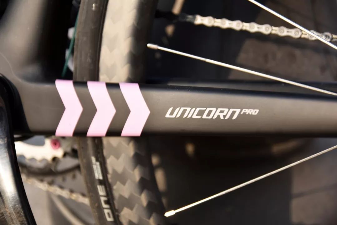 全隐藏走线公路车改装_野兽骑行UNICORN爬坡架_公路车怎么改装