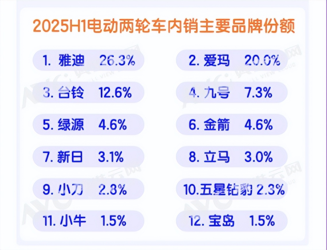 电动车市场销量排名_2025年上半年电动车销量分析_2025爱玛电动车销量