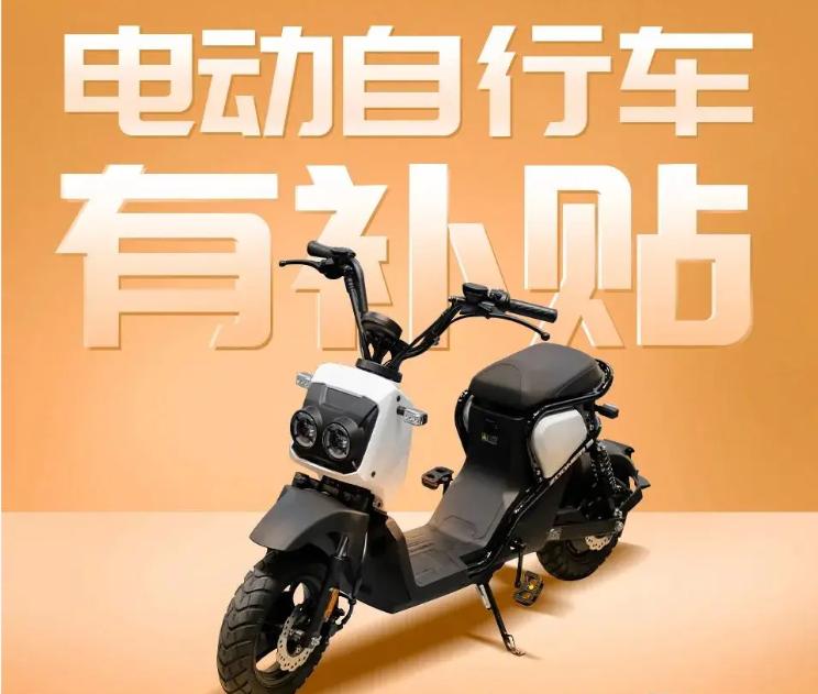 电动车市场销量排名_2025年上半年电动车销量分析_2025爱玛电动车销量