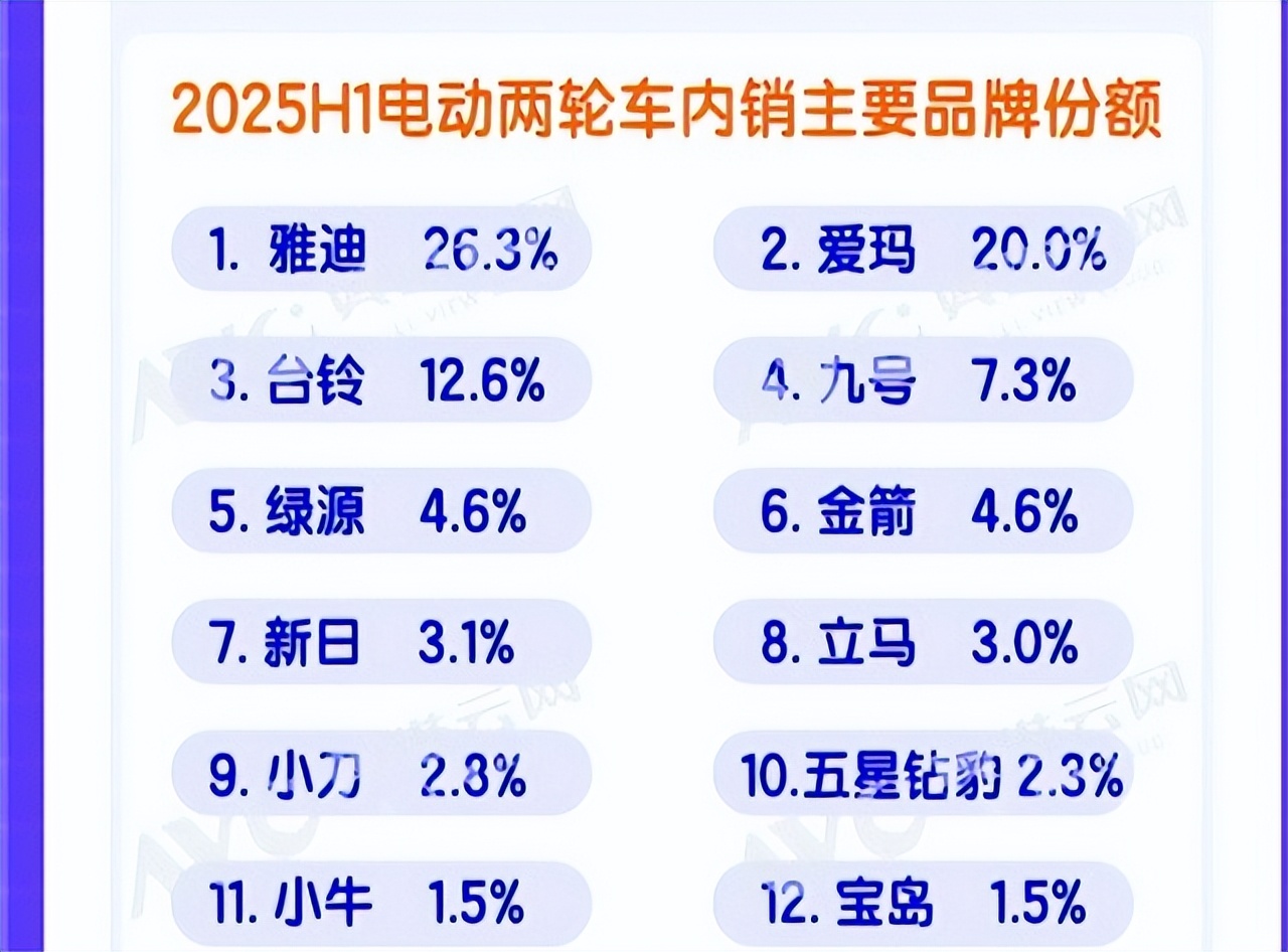 2025爱玛电动车销量_电动车市场2025上半年销量_雅迪市场份额