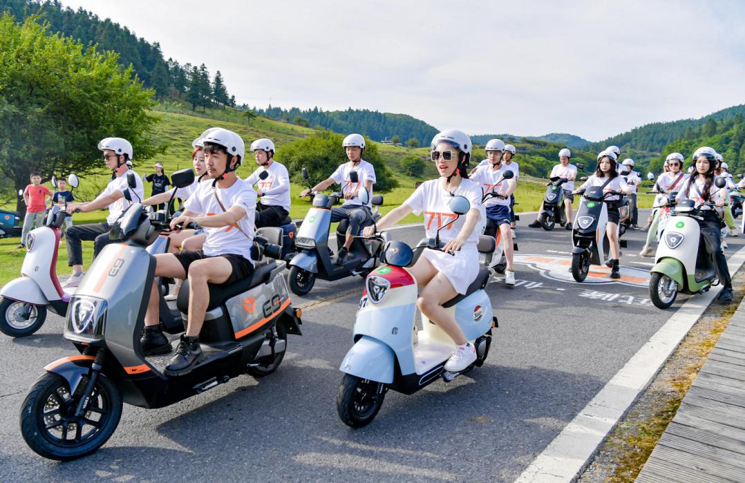 2025上半年电动车销量榜_2025爱玛电动车销量_电动车市场增速分析