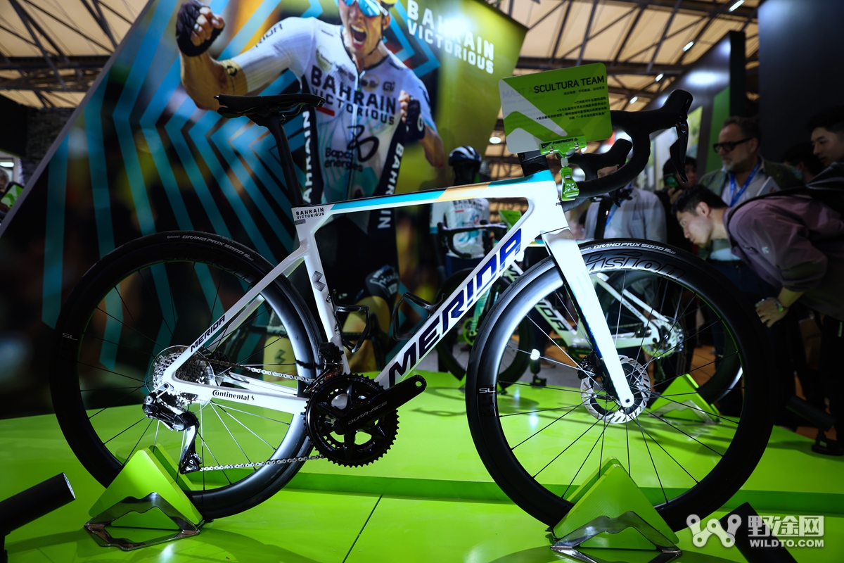 中国展D2 | 匠心坚守 涂装注入新活力（公路篇）