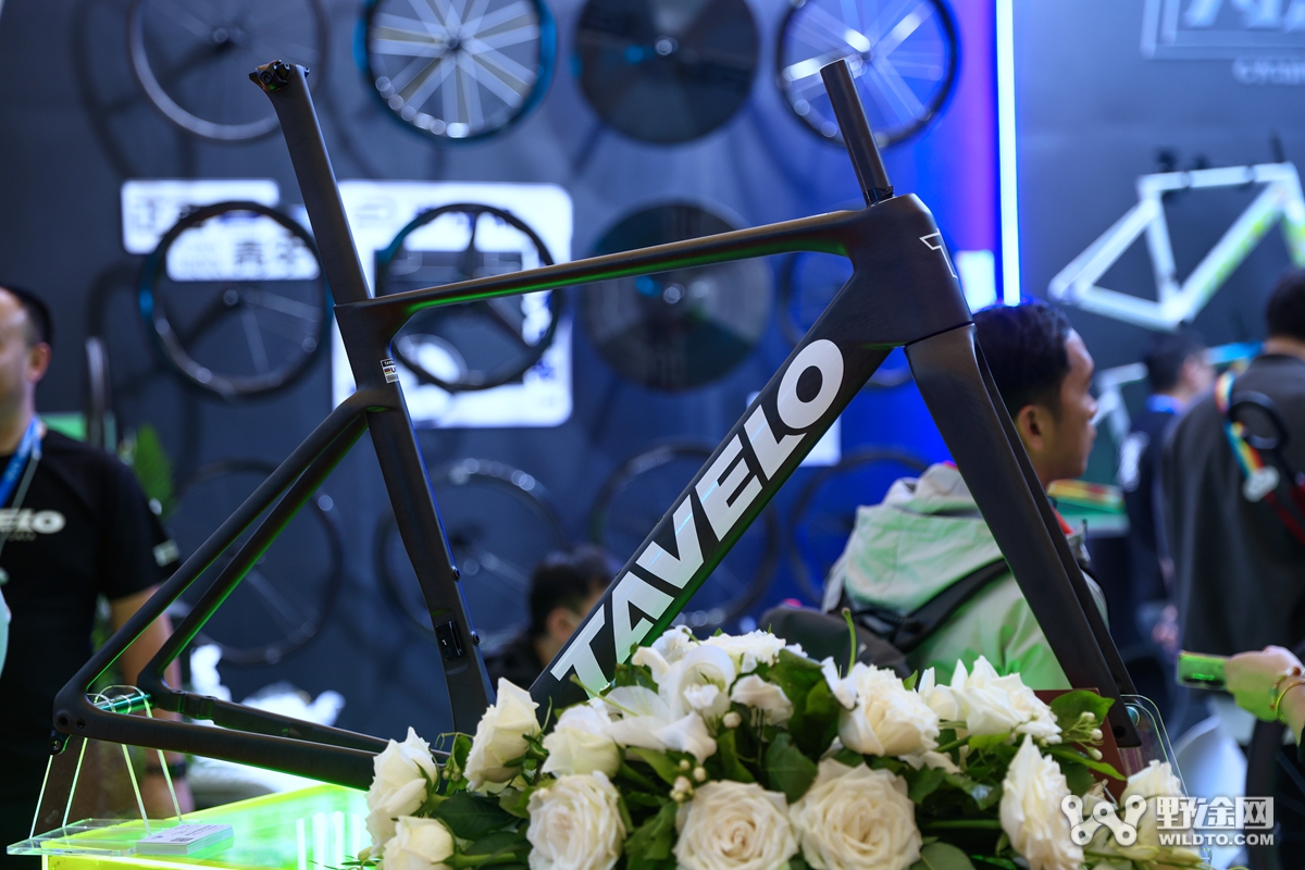 中国展D2 | 匠心坚守 涂装注入新活力（公路篇）