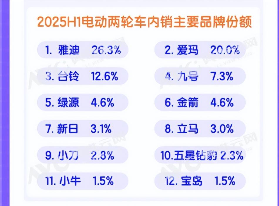 2025上半年电动车销量排行榜_2025爱玛电动车销量_雅迪电动车销量分析