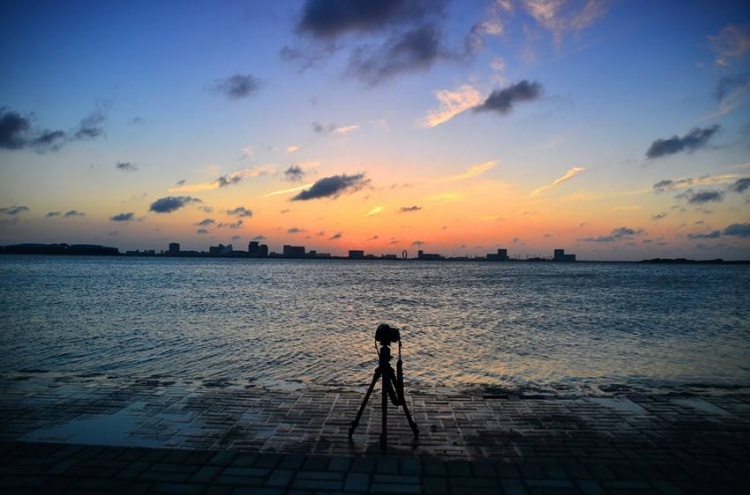世界无车日浦东骑行线路_浦东地区骑行推荐_浦东滨江自行车道