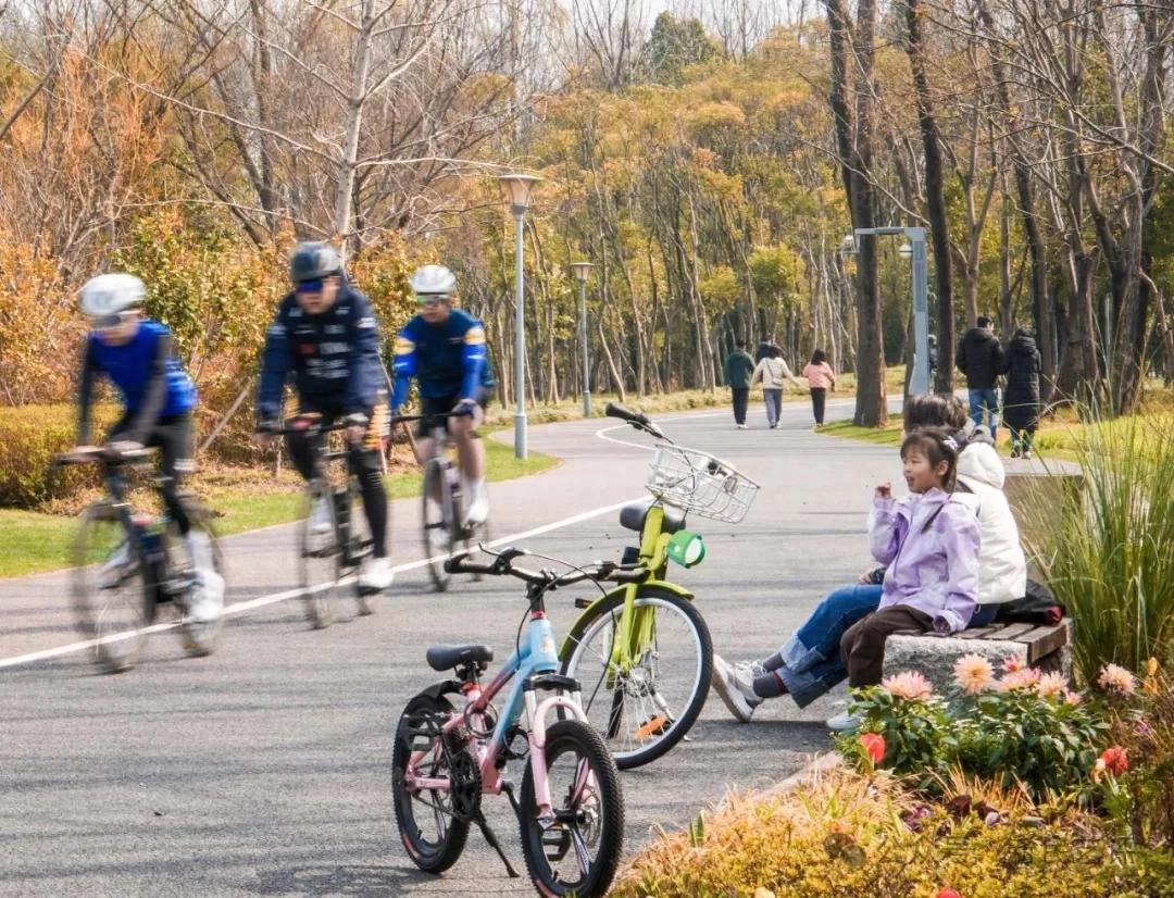 浦西徐汇滨江艺术中心_上海滨江骑行路线_浦东滨江自行车道
