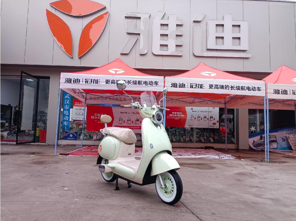 电动两轮车品牌排行榜 2025_电动车品牌技术分析_雅迪 博世电机