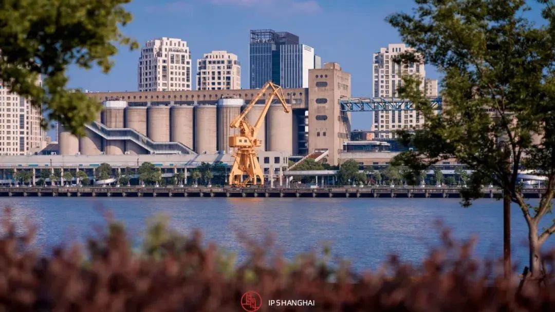 徐汇滨江艺术体验_黄浦江滨江艺术改造_浦东滨江自行车道