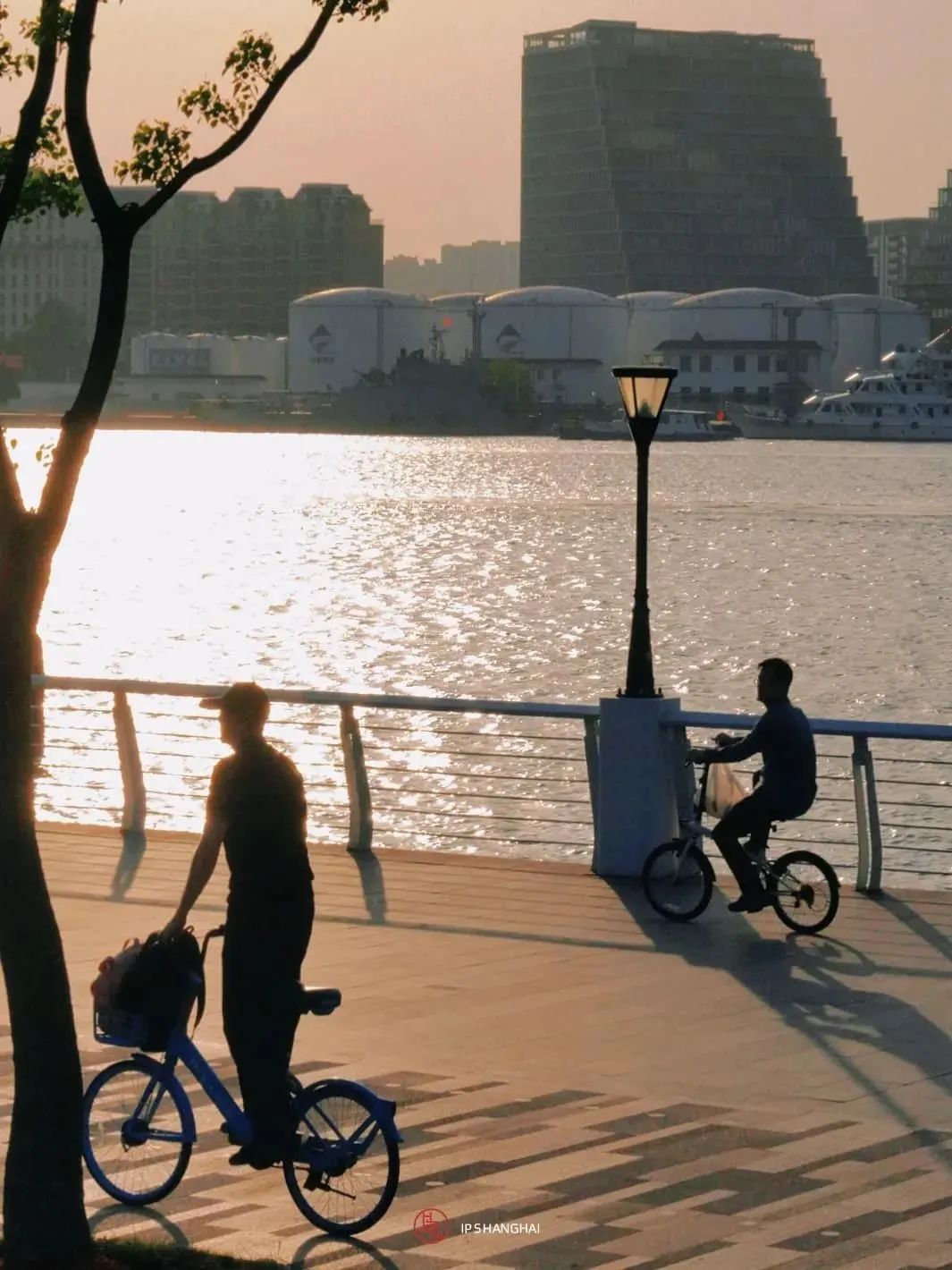 黄浦江滨江艺术改造_浦东滨江自行车道_徐汇滨江艺术体验