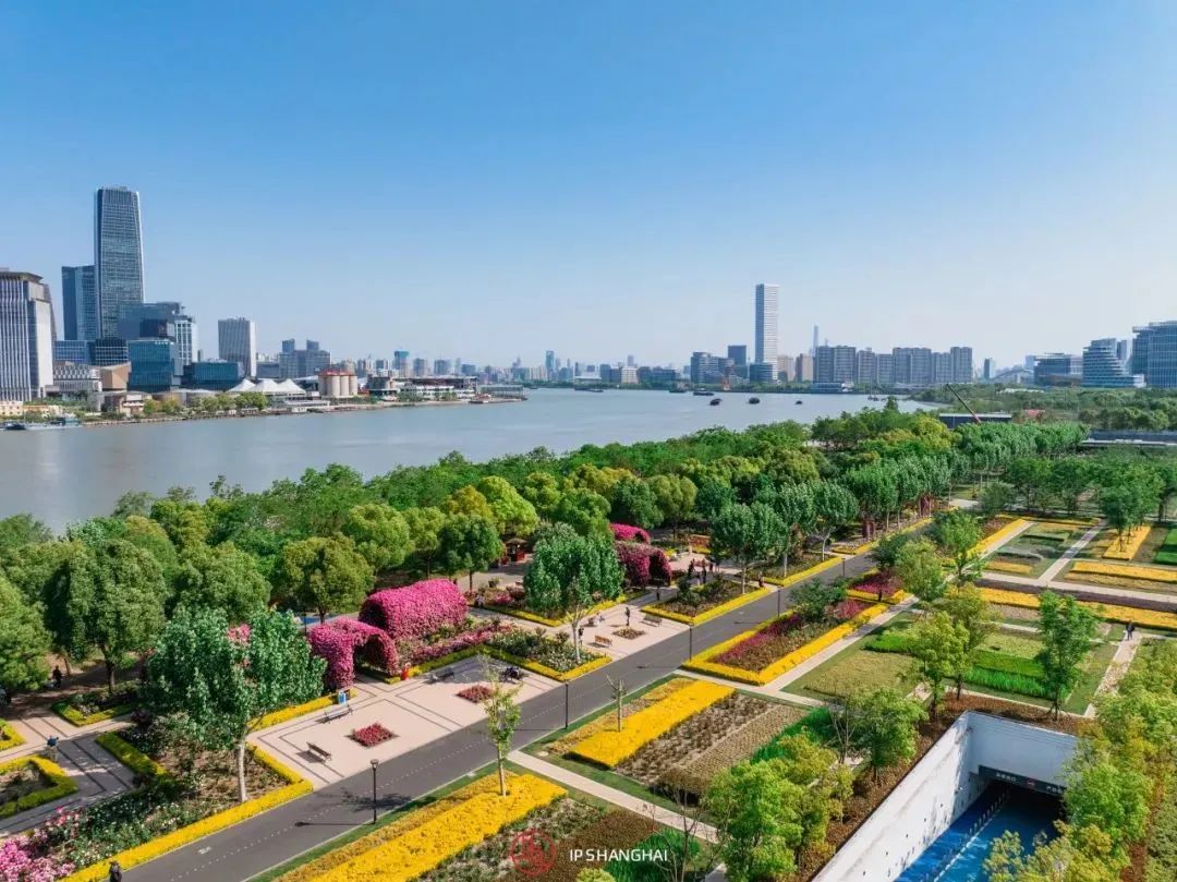 浦东滨江自行车道_黄浦江滨江艺术改造_徐汇滨江艺术体验