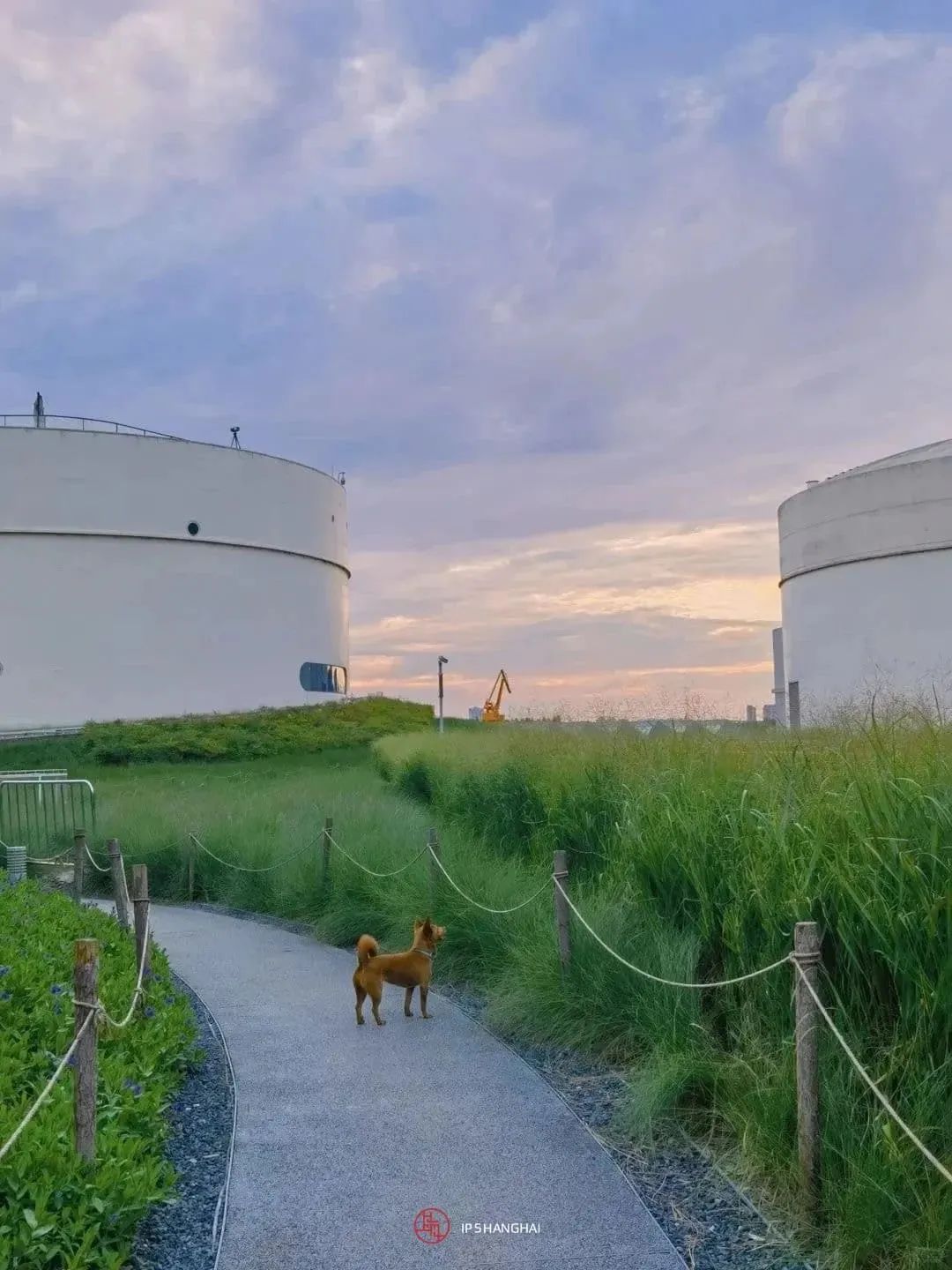 黄浦江滨江艺术改造_徐汇滨江艺术体验_浦东滨江自行车道