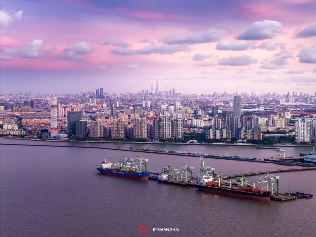 徐汇滨江艺术体验_浦东滨江自行车道_黄浦江滨江艺术改造