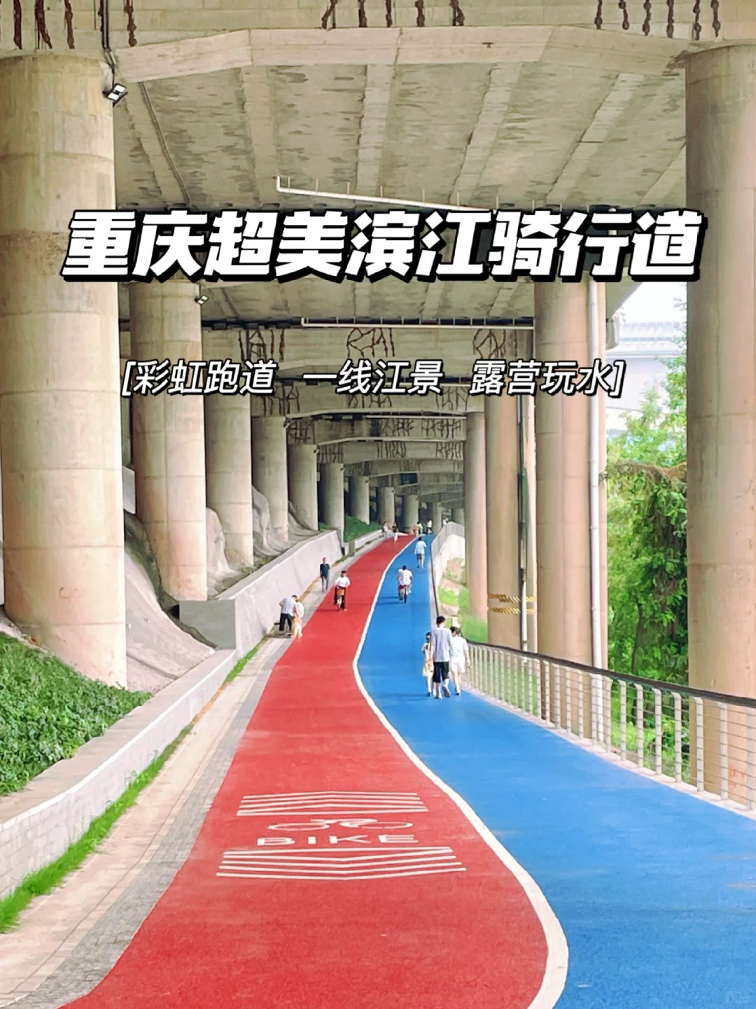 星空·综合体育官网入口 3000 预算，新手如何入坑公路车