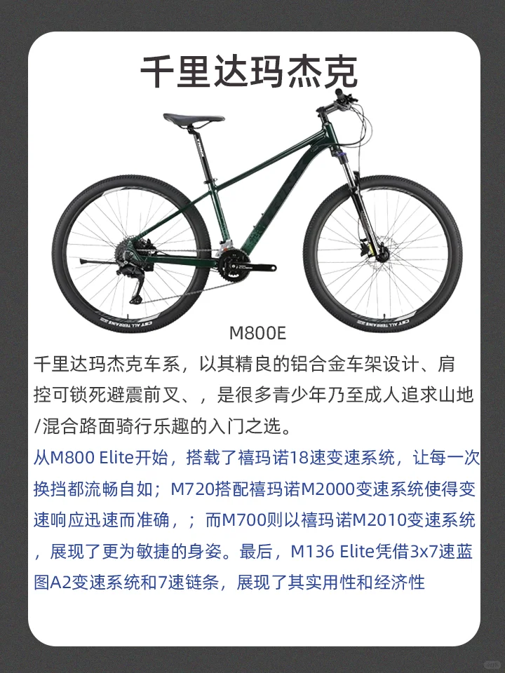 美利达斯特拉95_斯特拉美利达官网_斯特拉美利达93