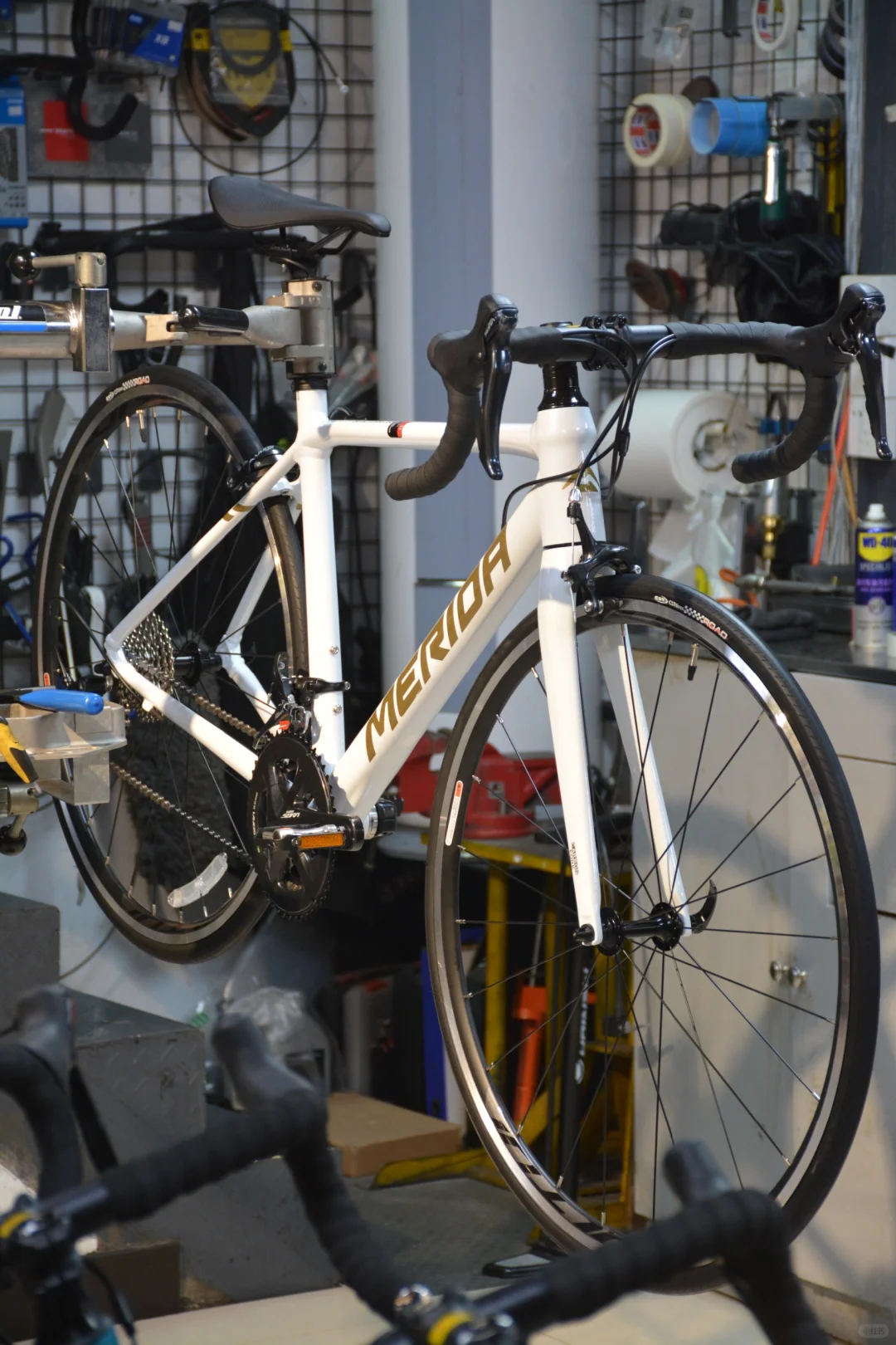 斯特拉美利达93_美利达斯特拉95_斯特拉美利达官网