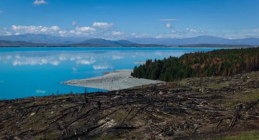 路虎山地车多少钱一台_路虎山地车安装视频_路虎山地车货架