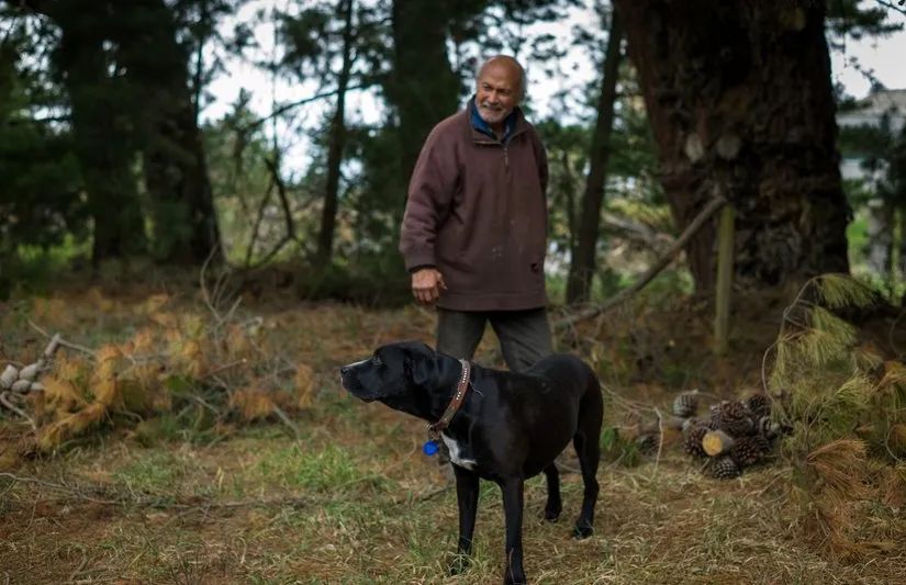 路虎山地车多少钱一台_路虎山地车货架_路虎山地车安装视频