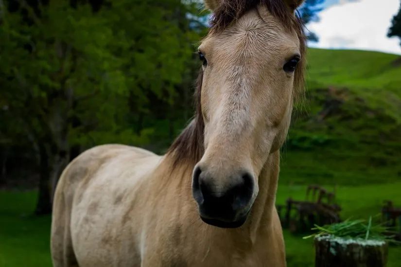 路虎山地车安装视频_路虎山地车多少钱一台_路虎山地车货架