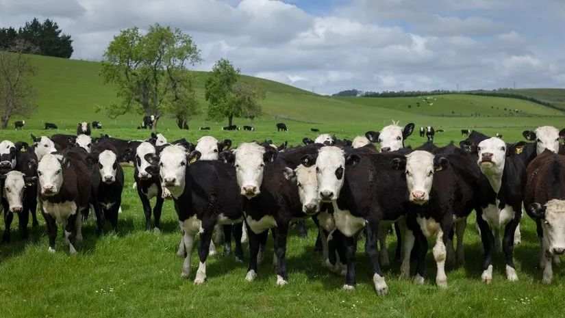 路虎山地车货架_路虎山地车安装视频_路虎山地车多少钱一台