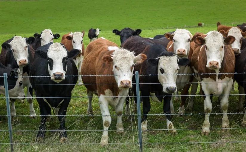 路虎山地车货架_路虎山地车安装视频_路虎山地车多少钱一台