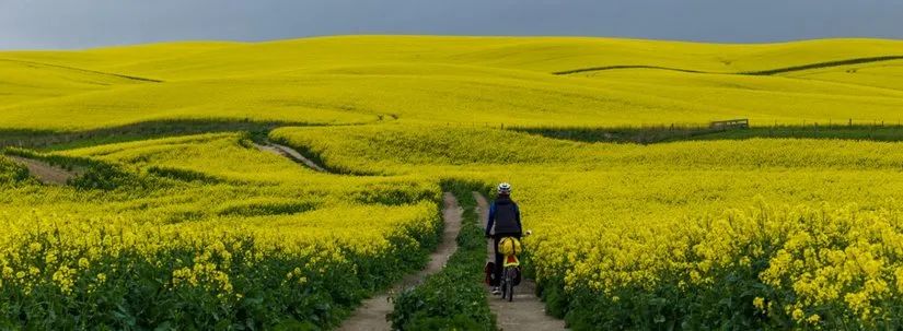 路虎山地车货架_路虎山地车安装视频_路虎山地车多少钱一台